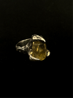 Dragon Ring