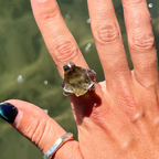 Dragon Ring