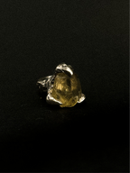 Dragon Ring